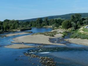 サン・サトゥルにあるLa cabine de Loireのギャラリーの写真