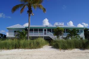 a blue house with a palm tree on the beach at Deer Run on the Atlantic in Big Pine Key