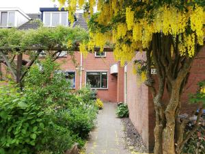 un jardin avec un arbre et un bâtiment en briques dans l'établissement Homestay Utrecht, à Utrecht