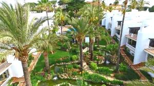 an aerial view of a courtyard with palm trees at Macdonald Leila Playa Resort in La Cala de Mijas
