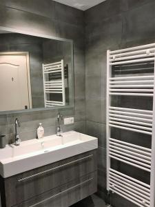 La salle de bains est pourvue d'un lavabo blanc et d'un miroir. dans l'établissement Bed en Breakfast de Houtwiel, à De Valom