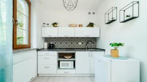 Kuchyňa alebo kuchynka v ubytovaní Apartament Karkonosze