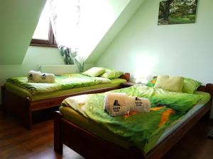 two beds in a room with green sheets at Kamienna Polana in Szczytna