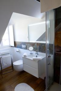 La salle de bains est pourvue d'un lavabo, de toilettes et d'un miroir. dans l'établissement Maison Eugénie, à Luchon