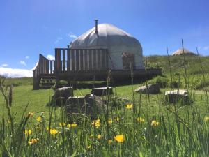 a yurt in the middle of a field with flowers at Portsalon Luxury Camping in Portsalon