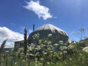 a dome in a field of grass with flowers at Portsalon Luxury Camping in Portsalon