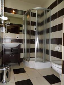 a bathroom with a shower and a sink and a toilet at Hotel Księcia Józefa in Poznań