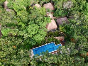 an overhead view of a swimming pool in a forest at Joy Tulum - Adults Only. in Tulum