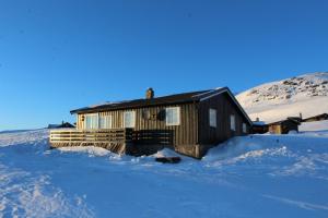 dom w śniegu z górą w tle w obiekcie Kjøniksbu - 3 bedroom cabin w mieście Al