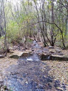 Imagen de la galería de Apartamento navacerrada, en Navacerrada
