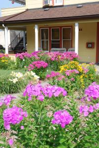 a garden of flowers in front of a house at Victoria Falls House in Nelson