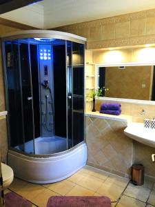 a bathroom with a shower and a sink at Dom Górski - cały na wyłączność in Szklarska Poręba