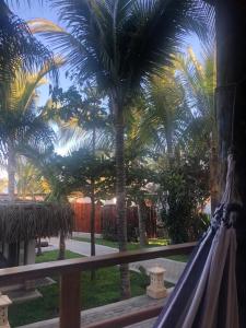 Zahrada ubytování Los Cocos de Vichayito
