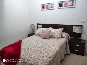 Ein Bett oder Betten in einem Zimmer der Unterkunft LA CASITA CALLE EL TANQUE
