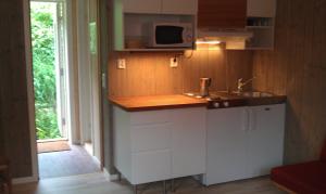 a small kitchen with a sink and a microwave at Valdres Naturlegvis in Fagernes