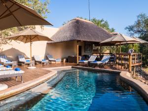 un complexe doté d'une piscine avec des chaises longues et des parasols dans l'établissement aha Thakadu River Camp, à Madikwe Game Reserve