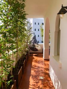 um corredor com vasos de plantas e uma rede de descanso em Assilah VIP em Asilah