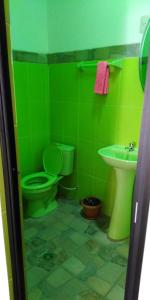 a green bathroom with a toilet and a sink at Hostal Piedra Andina in Copacabana