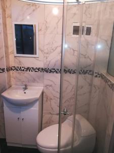 ein Bad mit einem WC, einem Waschbecken und einer Dusche in der Unterkunft Apartamento amueblado, cómodo e independiente en Huancayo in Huancayo