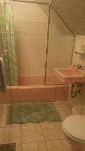 un bagno con vasca, WC e lavandino di Aunt Jane's Guest House a Put-in-Bay Altre 7 foto