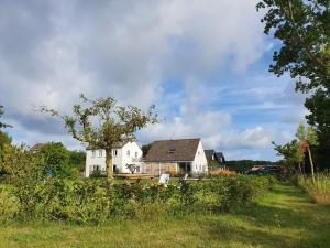 a white house in the middle of a field at De Bonte beleving in Oostkapelle