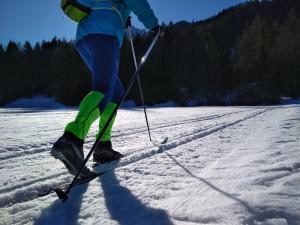 a person is cross country skiing in the snow at Alpeambient house Dovje in Mojstrana
