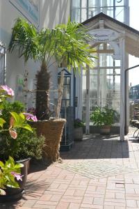 Zahrada ubytování Hotel Villa Schwanebeck