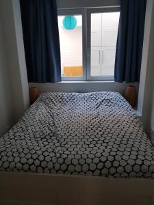 a bedroom with a bed and a window with blue curtains at Zeezucht in Koksijde