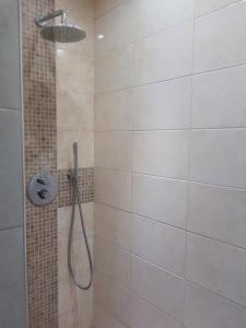 a shower with a shower head in a bathroom at Zeezucht in Koksijde