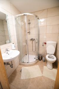 a bathroom with a shower and a toilet and a sink at Rooms at Trimček in Sevnica