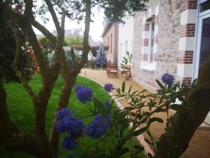 a tree with blue flowers next to a building at Chambres d'hôtes "Le Clos de la Baie" in Paimpol