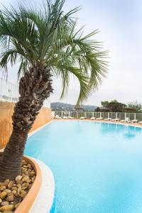 una palmera junto a una gran piscina en Village Vacances Le Parc Des Chênes (by Popinns), en La Croix-Valmer