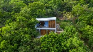 a house in the middle of a forest at Cocolia Hotel in Mazunte
