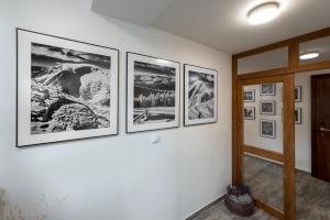 Fotografie z fotogalerie ubytování Chata Jeřabinka v destinaci Horní Malá Úpa