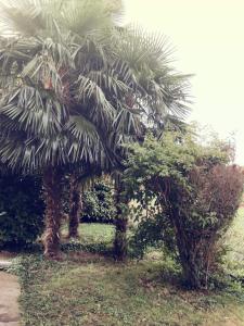 A garden outside Villa Sofia
