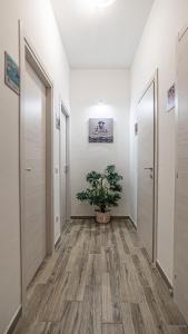 Fotografie z fotogalerie ubytování BOSS Guest House v destinaci Alghero