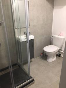 La salle de bains est pourvue de toilettes, d'une douche et d'un lavabo. dans l'établissement Maison trois chambres, près remparts, jardin, piscine, à Avignon