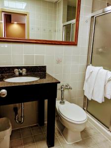 a bathroom with a toilet and a sink and a shower at Jets Motor Inn in Queens