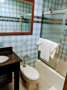 a bathroom with a toilet and a sink and a shower at Jets Motor Inn in Queens