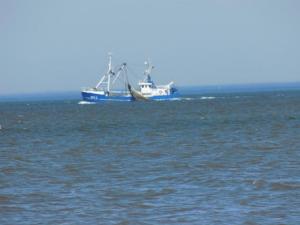 a blue and white boat in the middle of the ocean at Ekenhoff in Moorweg