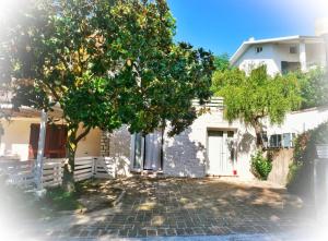 a tree in front of a house with a brick driveway at L’Orto di Rina in Numana