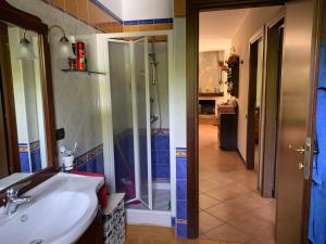 Un baño con lavabo y ducha en La casa del Pino Argentato, en Ateleta