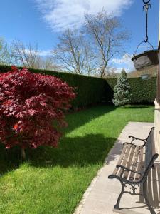 Un banco del parque junto a un arbusto rojo en La casa del Pino Argentato, en Ateleta