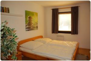 um quarto com uma cama, uma janela e uma planta em Ferienhaus Naturblick am Tor zum Nationalpark Kellerwald em Frankenau