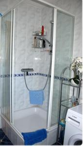 um chuveiro com uma caixa de vidro na casa de banho em Ferienhaus Naturblick am Tor zum Nationalpark Kellerwald em Frankenau