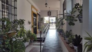 Fotografia z galérie ubytovania En el corazon de Marbella v Marbelli