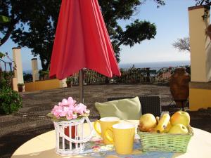 a table with two baskets of fruit and a red umbrella at Purple Studio in Funchal