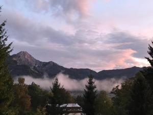 Przyroda w pobliżu tego obiektu B&B