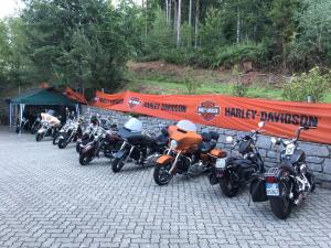 Zdjęcie z galerii obiektu La Irmania Pension w mieście Ledenitzen