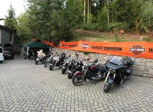 Zdjęcie z galerii obiektu La Irmania Pension w mieście Ledenitzen